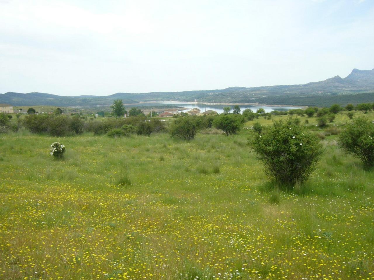 Camping de Cervera de Buitrago Exterior foto